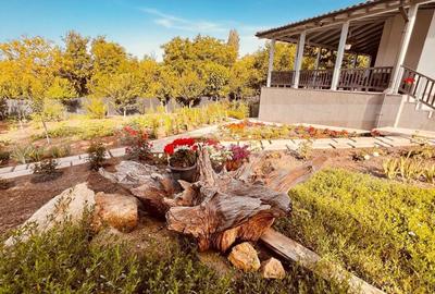 Casa 5 camere in Barnova, 150 mp utili si 1000 mp teren Casa 5 camere in Barnova, 150 mp utili si 1000 mp teren - 2