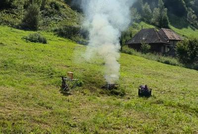 Teren ideal pentru investitie - 3