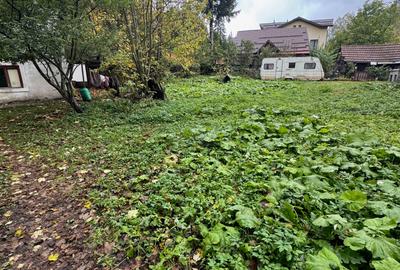 Casa Predeal Central - 3