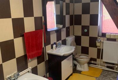 Casă cu 6 camere cu Teren 2800 Mp în Dudești - 10