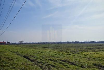 Teren Construcții intravilan de 12831 mp, în Căciulați - 3