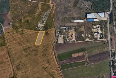 Vanzare teren Domnesti - Centura, ILFOV - 2