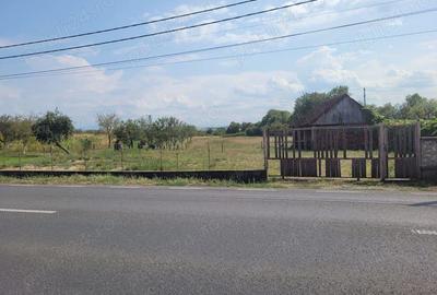 Casă în Topa de Criș - 6