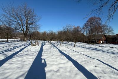 Teren Construcții intravilan de 763 mp, în Tohănița - 2