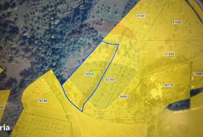 Teren de 6322 mp, în Central - 1