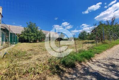 Teren de 578 mp, în Șura Mare - 10