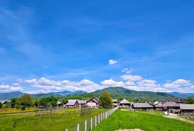 Hotel/Pensiune, de 20 mp, în Leordina - 7