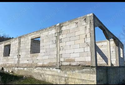 Teren cu casa la stadiul de acoperis si cabanuta - 8