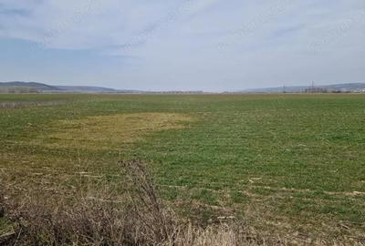 Teren de 3300 mp, în Șimnicu de Sus - 3