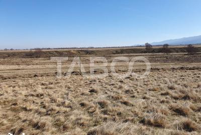 Teren de 600 mp, în Recea