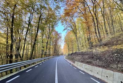 Teren de vanzare la drum asfaltat Ramet - 1