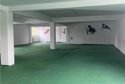 BUCOVINA |CLADIRE MULTIFUNCTIONALA |450 MP |P+1+M |PARCARE | TEREN GENEROS |IDEA - 4