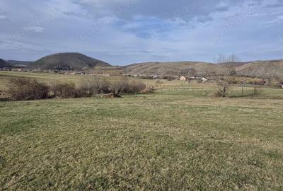 Vand teren in Orlat, judetul Sibiu 1500mp extravilan - 1