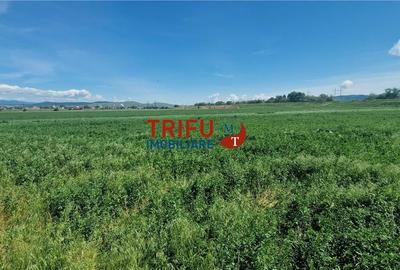 Teren de 5000 mp, în Central - 4
