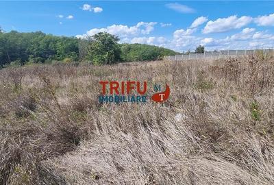 Teren intravilan 2100 mp de vanzare in Teleac la asfalt cu toate utilitatile - 3