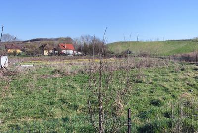 Spațiu comercial, în Suatu - 4