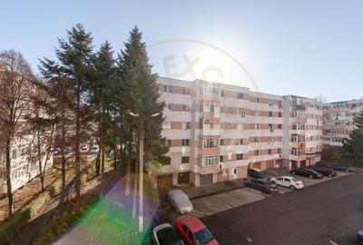 Apartament cu 2 camere decomandat, mobilat în Banat - 7
