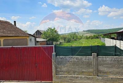 Teren Construcții intravilan de 1186 mp, în Ineu - 11