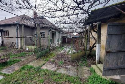 Casă cu 2 camere cu Teren 2258 Mp în Belfir - 5