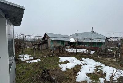 Casă cu Teren 2400 Mp în Toporu - 3
