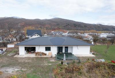 Casă individuală cu 5 camere cu Teren 4242 Mp în Vânători-Neamț - 22