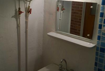 Garsonieră nedecomandată în Pantelimon - 2