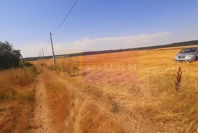 Teren de 2000 mp, în Brănești - 2