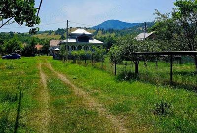Casă cu 3 camere în Sulța - 3
