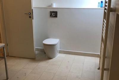 Casă individuală cu 6 camere cu Canalizare în Iancu Nicolae - 11