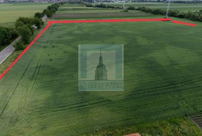 Teren Construcții intravilan de 50000 mp, în Hălchiu - 8
