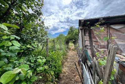 Casă individuală cu 4 camere cu Teren 4430 Mp în Tecucelu Sec - 16