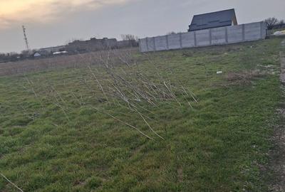 Teren de 567 mp, în Buda - 5