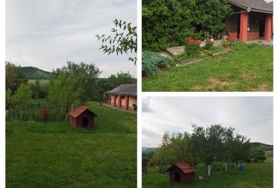 Casă cu 7 camere cu Teren 9800 Mp în Șintereag - 2