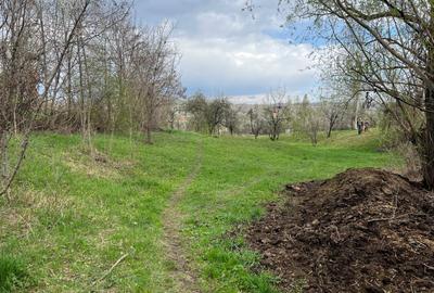 Breaza - str.Plaiului, Coasta Berzei nr.54, teren 1400 mp - 1