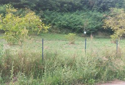 Teren de 7000 mp, în Voia - 8