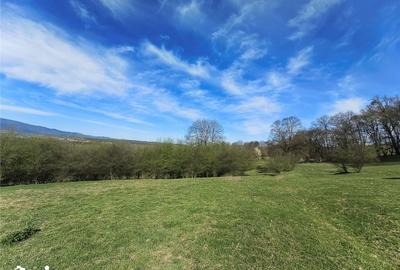 Teren de 4000 mp, în Central - 3