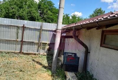 Movilita - vanzare casa 5 cam plus livada pe rod si teren 1800 mp - 44