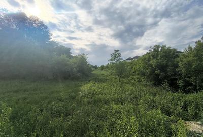 Teren agricol extravilan de 10000 mp, în Fălticeni - 2