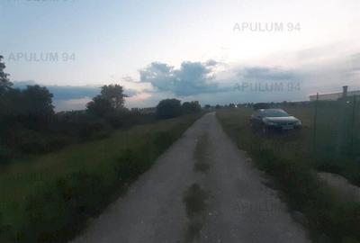 Teren aproape de Bucuresti langa padure - 5