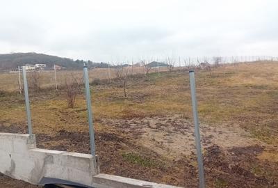 Teren Construcții intravilan de 700 mp, în Popești - 3