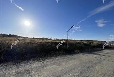 Teren intravilan de 6000 mp situat in Sibiu zona industriala Selimbar - 8