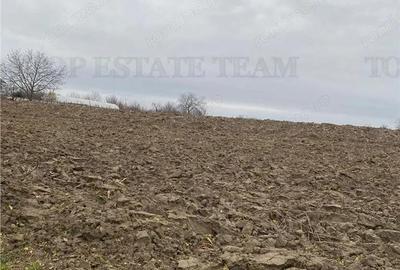 Teren 12223 mp in Prahova - 3