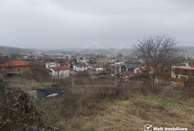 Teren de vanzare, 2864 mp, Dambul Rotund - 7