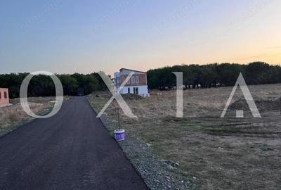 OX674 Teren intravilan + Proiect, in Covaci - 4