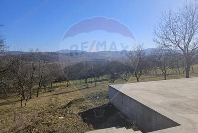 Teren de 4627 mp, în Giulești - 8