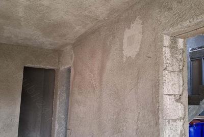 Casa P+1, 200mp neterminata + 900mp teren in Halanga Mehedinti - 6