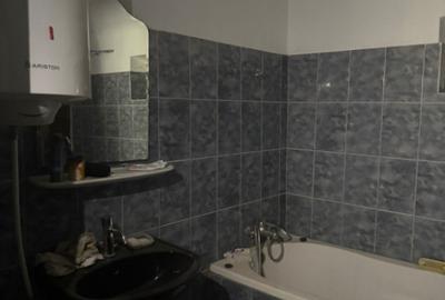 Casă cu 5 camere cu Teren 3279 Mp în Ciutura - 4