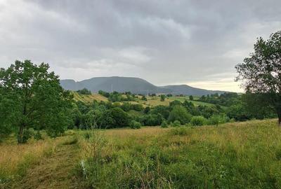 Teren de 1000 mp, în Viișoara