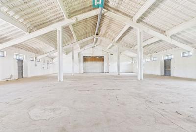 Hale 1800 mp fiecare - acces autostradă, Teiu, HD - 1