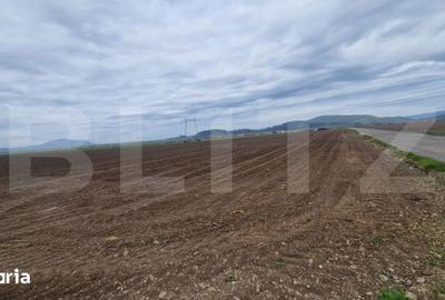 Teren de 15000 mp, în Hărman - 2